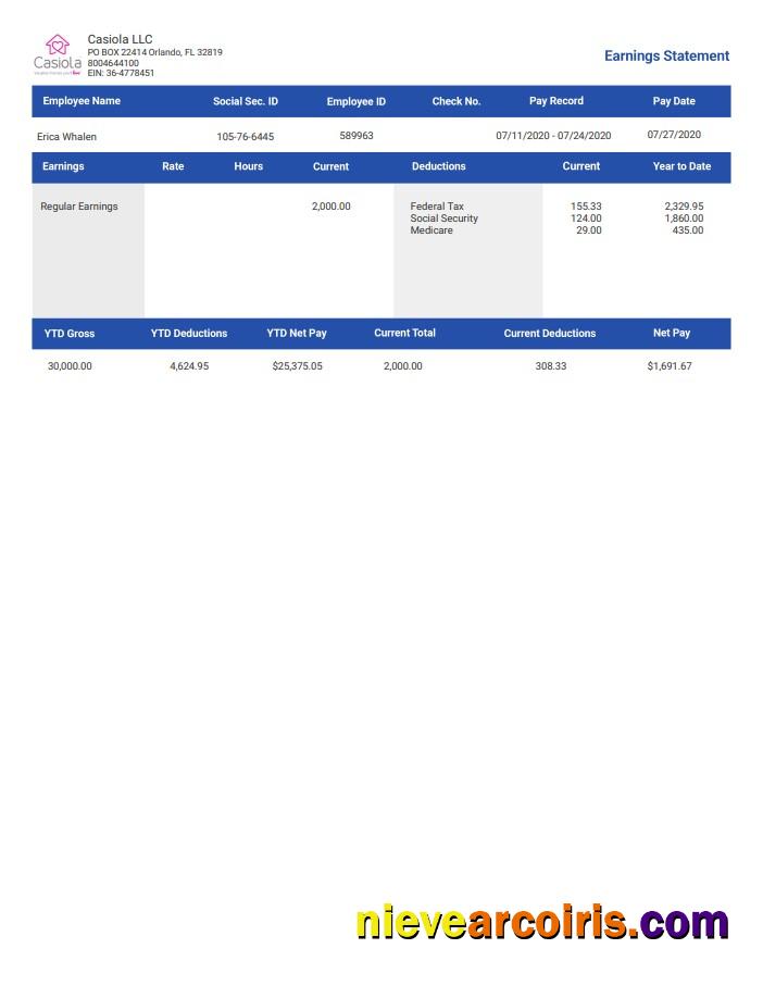 casiola llc earnings Employee Paystub